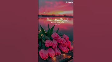 🩷 #اكسبلور #اذكار #قرآن #راحة_نفسية #دويتو #الصلاة #duet #استغفرالله #لايك #دعاء