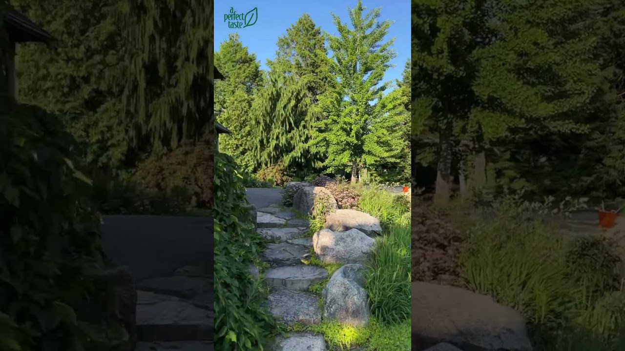 Walking through the Gardens at Elm Bank. 