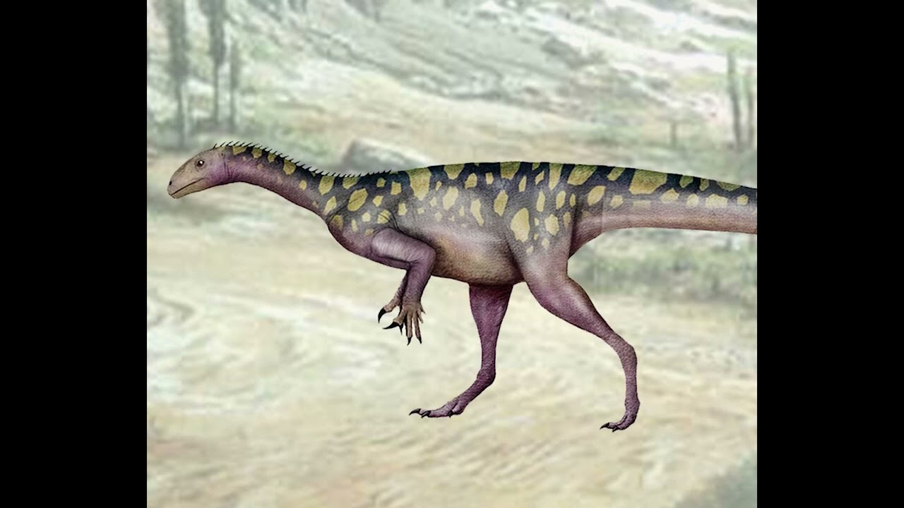 Thecodontosaurus Noise 🔊