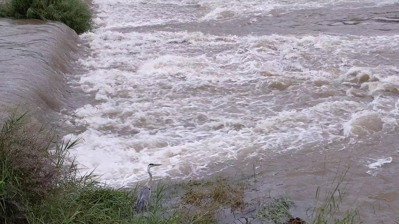 7.4 After a long rain ③ YouTube