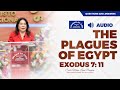 (English) The Plagues of Egypt, Exodus 7:11 by Sr. Maria Luisa Piraquive