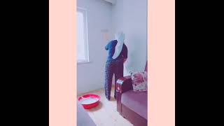 Nursel Tercansarhoş Adam