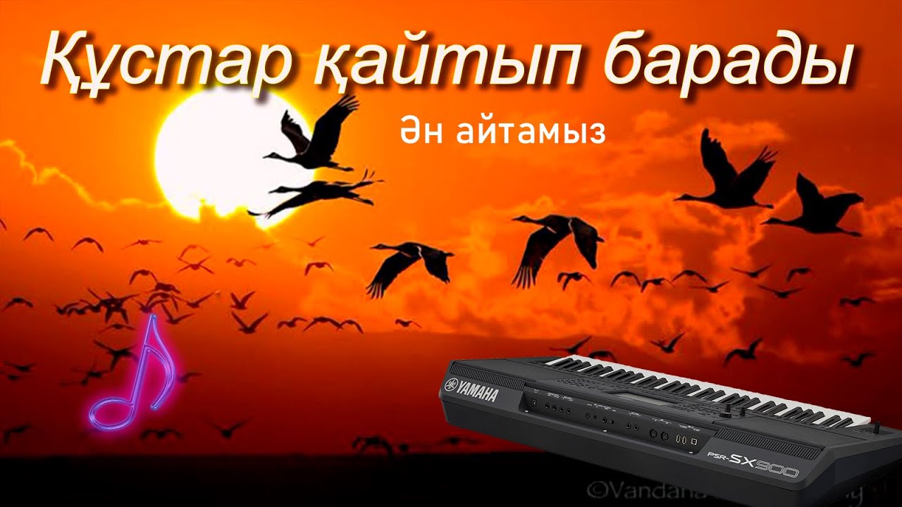 Караоке-Қустар қайтып барады.{караоке казакша ән}