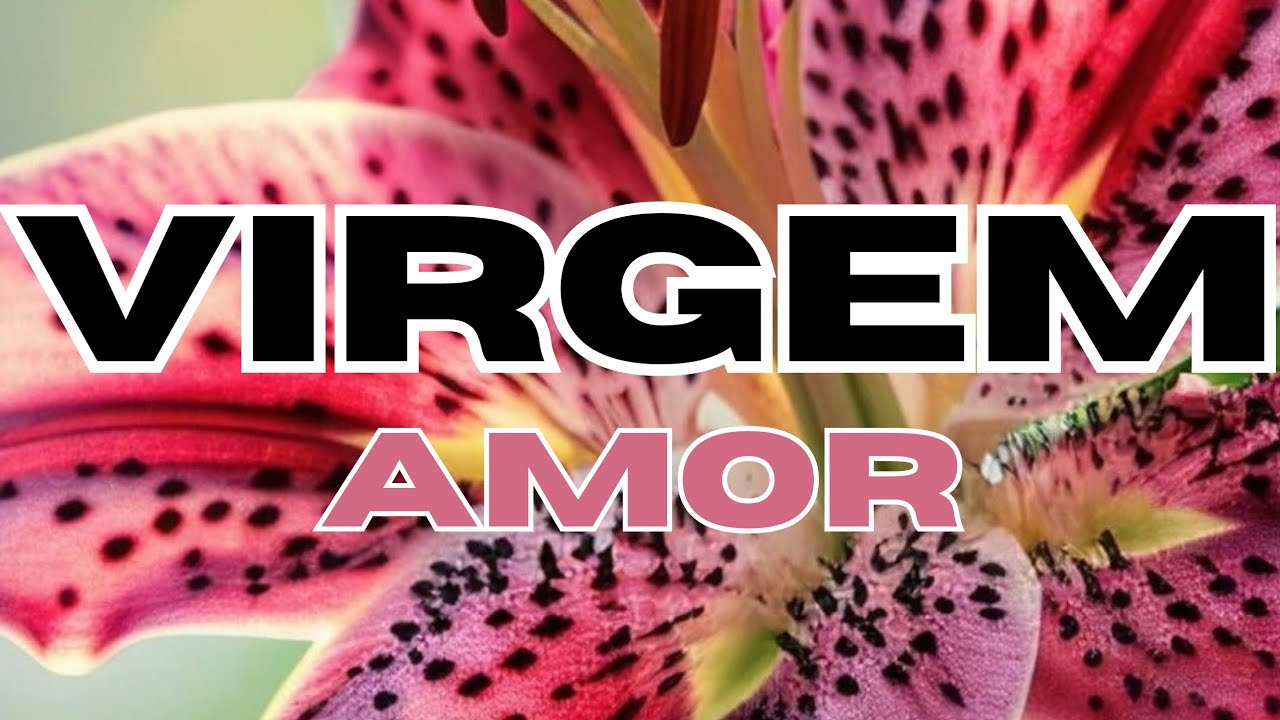 ♍VIRGEM♍AMOR♥️ ALGUÉM VAI TOMAR UMA INCIATIVA PARA UMA CONVERSA.👑💫💬♥️😍