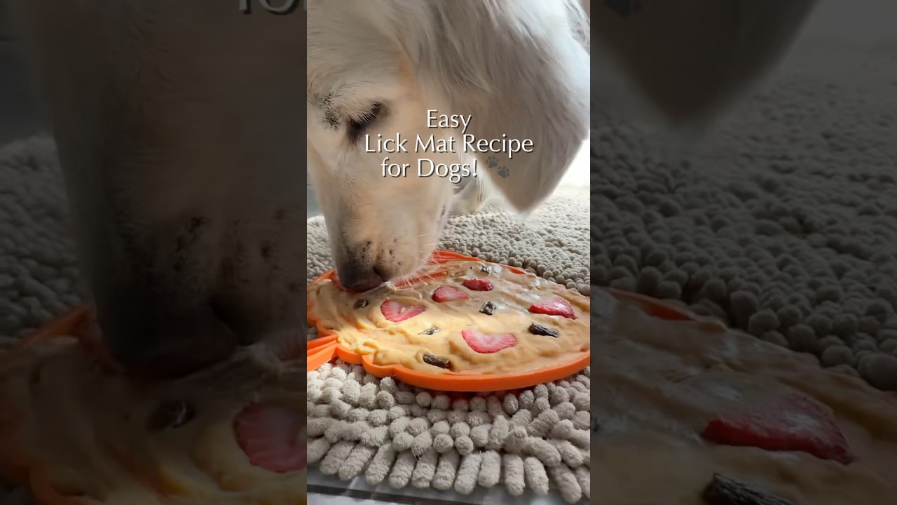 Easy Frozen Lick Mat Recipe for Dogs 🍌🐶 | Healthy DIY Dog Treats