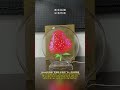 Magic Mini Holographic Display - 18cm Fan w/ Remote Control  #3dhologram  #holographicfan