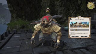FFXIV Kobold Society Quest: How Low Can You Go