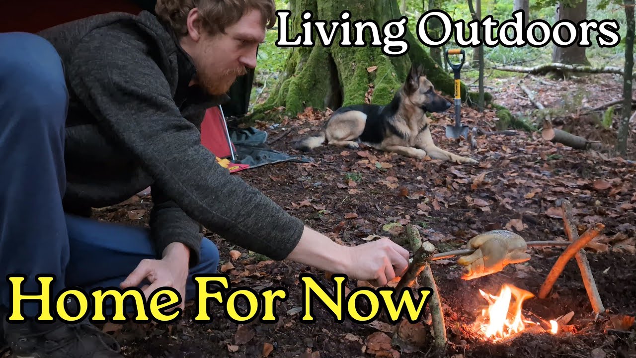 Временный дом в изолированном лесу