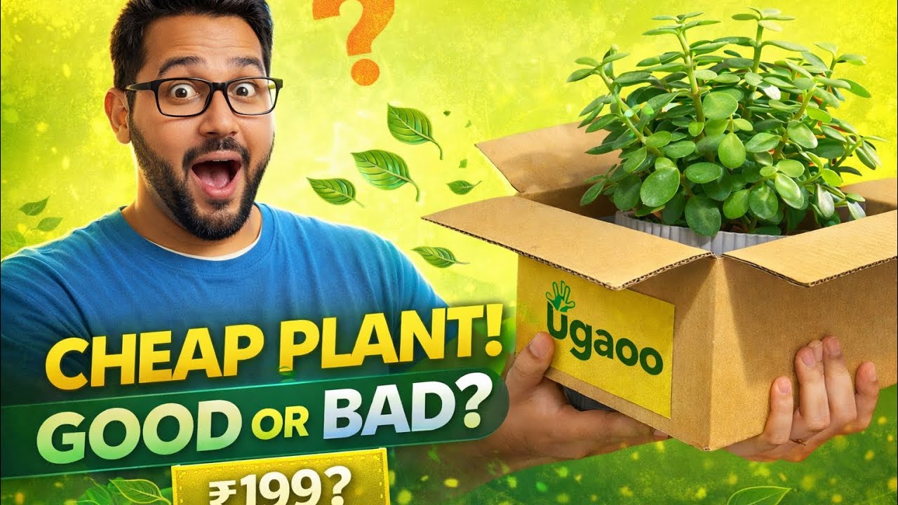 Unboxing and Review Ugaoo Plant, Online Sasta Plant Good or Bad ?