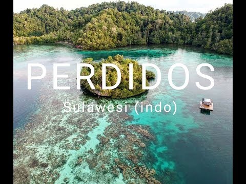 Vídeo: Illes Derawan de Borneo: la guia completa
