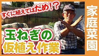 ricp*玉葱苗→プロフ見てください✤✼ mqdefault.jpg