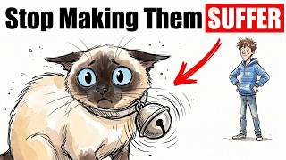 7 Ways You're HURTING Your Indoor Cat Without Realizing