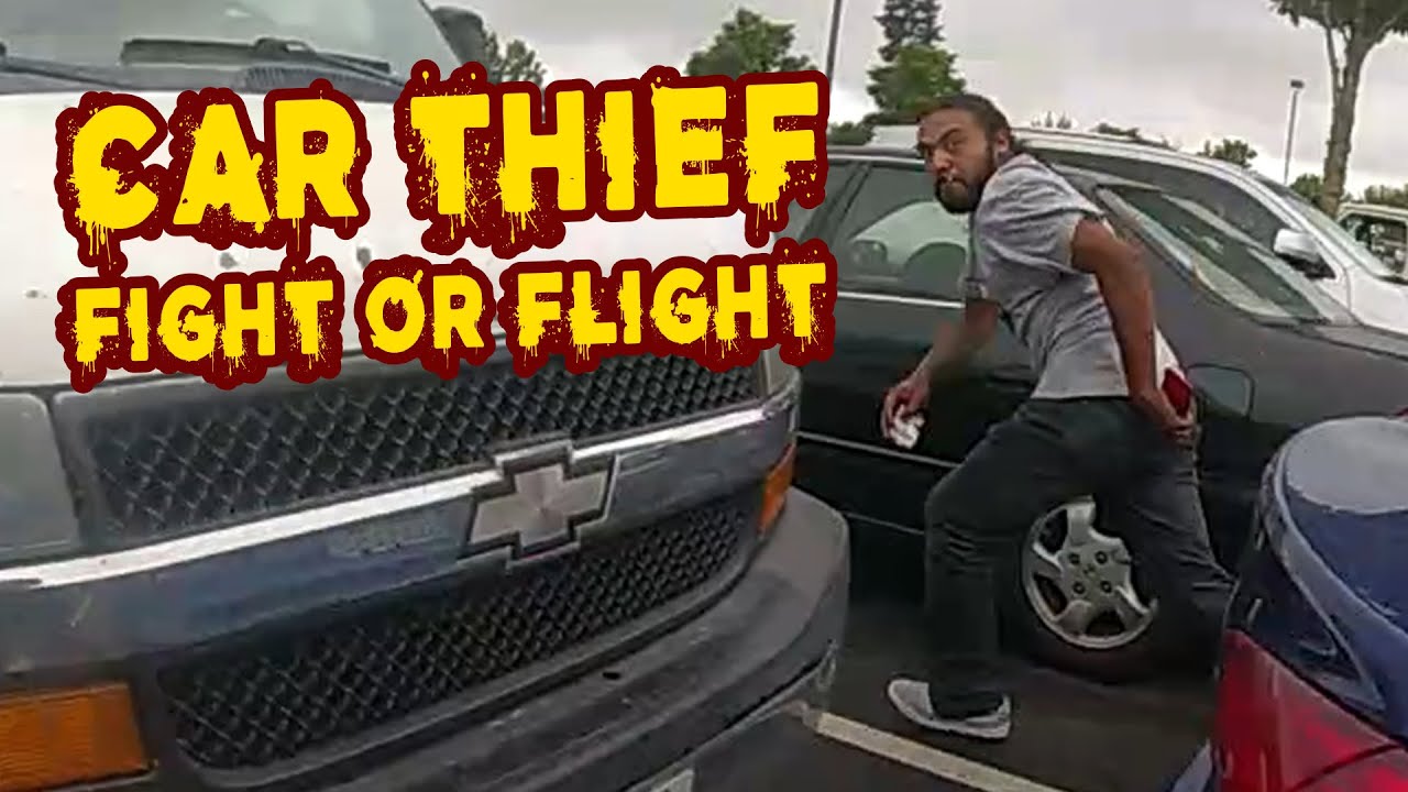 Car Thief Tries to Steal ANOTHER CAR While Fleeing Police - YouTube