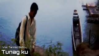 GITAR TUNGGAL TARMIZI -TUNAG KU [Gitar Palawang] HMR official