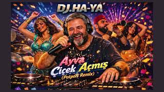 Ayva Çiçek Açmış (Potpori Remix) Düğün & Oyun Havaları 2026 Üğün I Şfetbeniöneçıkar