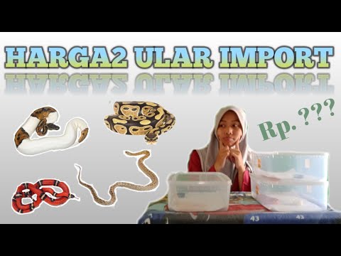 Unboxing hewan terbanyak yang pernah saya lakukan dan selain itu juga pada video ini akan dibahas ju. 