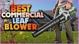 Unleash Power: Discover the Best Commercial Leaf Blowers for Efficiency and Performance by Reviewer Winspections 38 views 2 months ago 5 minutes, 27 seconds