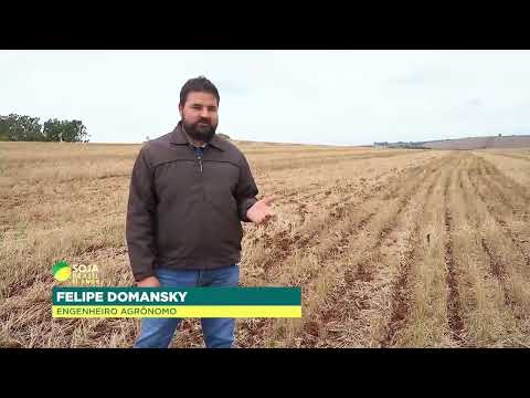 Soja Brasil | Expedição chega ao Paraná e mostra a semeadura da soja na região | Canal Rural