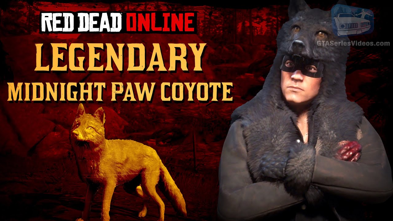 Red Dead Online Legendary Midnight Paw Coyote Location [Animal Field