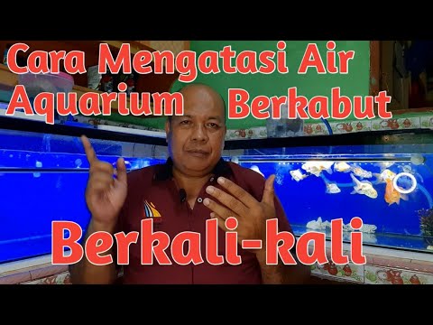 Video: Cara Melindungi Terumbu Karang: 14 Langkah (dengan Gambar)