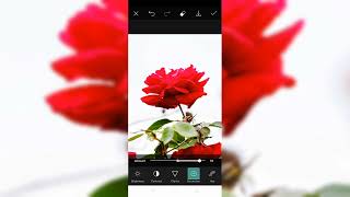 Masterclass de Correção de Cor em Retratos HDR  | Photoshop   Canon R5 4K 🎨#n925k#2208