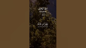 قل اللهم مالك الملك تأتي الملك #القران_الكريم_راحه_نفسية #راحة_نفسية #تلاوة_خاشعة #المصحف #اكسبلور