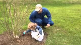 Emma's first Easter Egg hunt