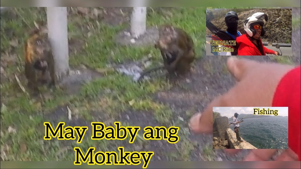 Dito pala maganda mag MC Rides, Ternate Cavite, Ang dami Monkey dito, Fishing Gala 🥰😋😎 YouTube