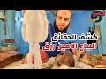 جولة مع الاصدقاء بأكبر حلقة سمك في مصر ⁦🇪🇬⁩ لمعرفة انواع واسعار اسماك البحر الاحمر والسويس