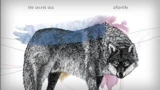 The Secret Sea - Afterlife