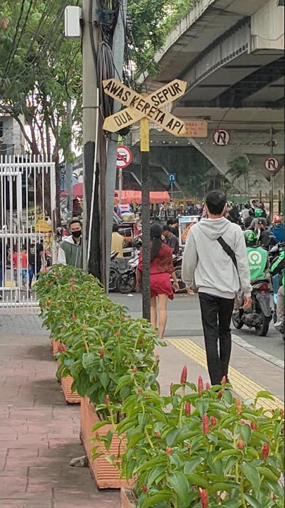 #CewekBodi #cewek #wkwkwk #Storywa CEWEK SANGE || JALAN KAKI || BIKIN PISANG JUMBO || BANGUN
