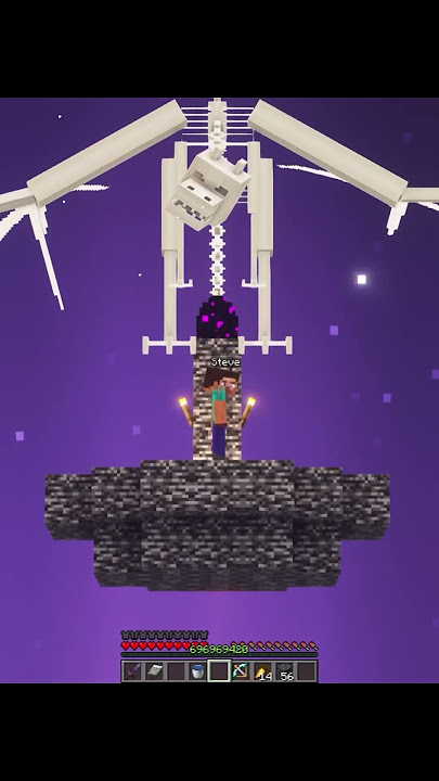 Steve cooked the Ender Dragon