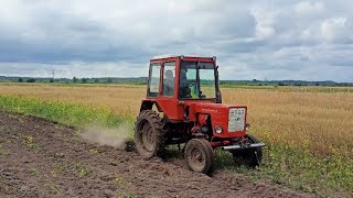 Усі молотять, а ми орем! Т25 із саморобним плугом!