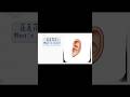 Learn Chinese #Chinese Characters# Daily Chinese#Chinese For Beginners #Basic Chinese