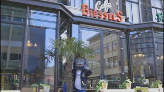 Guilty Monkey Op Bezoek Bij Cafe Biessels