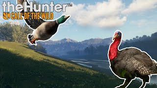 Mates | theHunter #13 | SMALL GAME