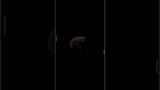 python me 3d tree 🎄 kaise bnaye 👍👍 Net Worth