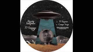 Harry Wolfman - 37 Degrees (Omena 2018)