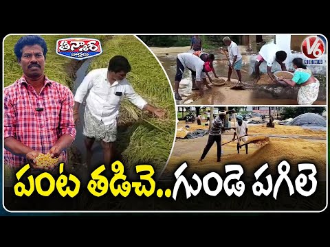 Crops Submerged In Water Due To Montha Cyclone Effect In Telangana | V6 Teenmaar - V6NEWSTELUGU