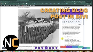 How to Post Blog Articles in WordPress using Divi Builder