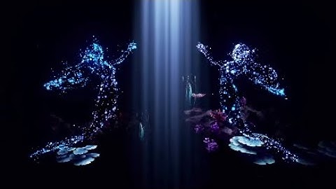 Relaxing Amoled Visuals Sealife|Tetris Effect