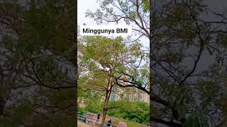 BMI HK minggu libur