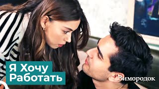 картинка: Желание Сейрана, Вызывающее Раздражение у Ферита | Зимородок