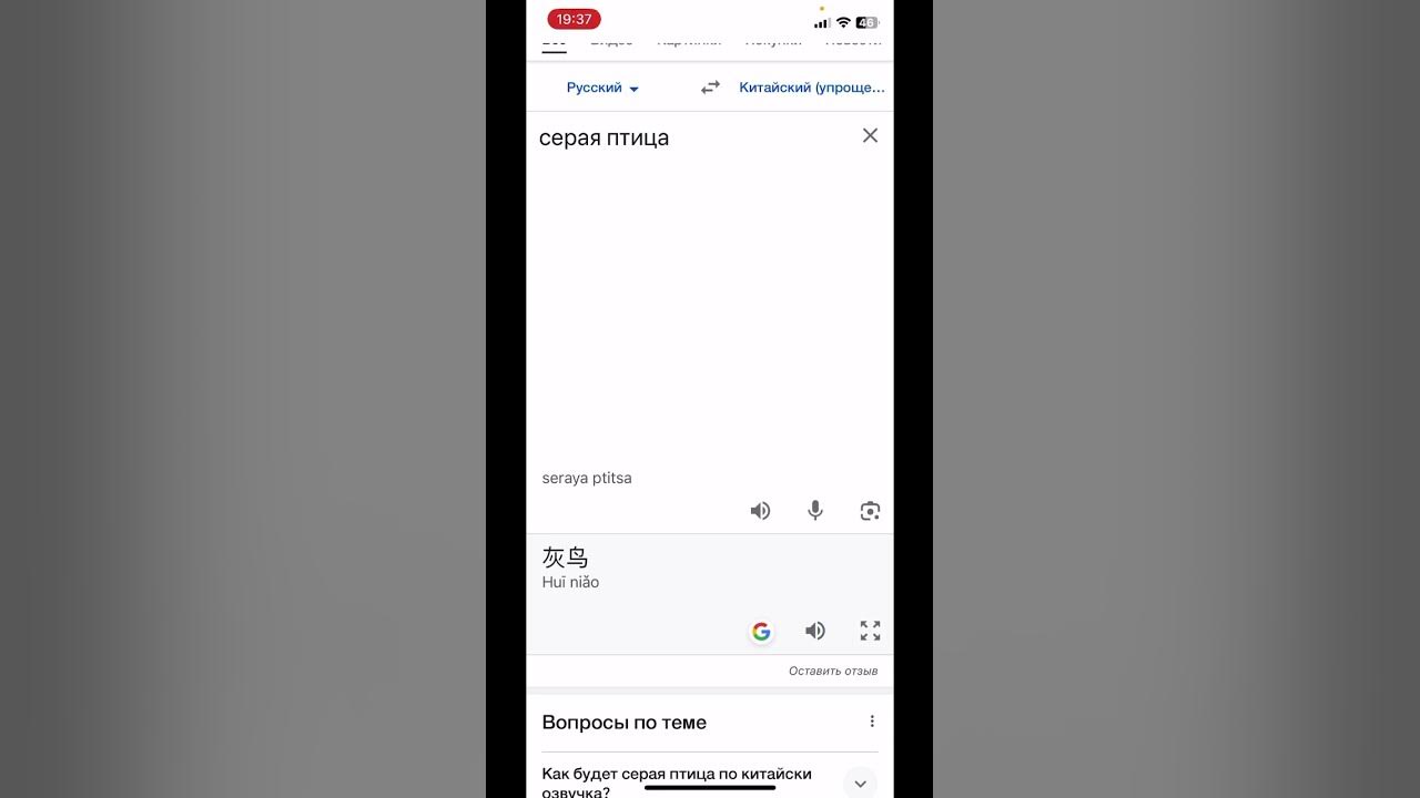Как на китайском будет серая птица - YouTube