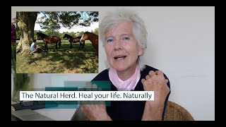 Hopethruhorses Course - Heal your life...naturally