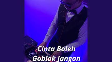 Cinta Boleh Goblok Jangan