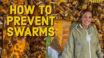 3 Tricks To Prevent Swarming #beekeeping101 #beekeeping