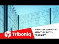 Perimeter Intrusion Detection System Triboniq™