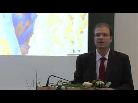 antrittsvorlesung-prof.-gübitz