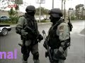 النائبه نيفين حمدي النائبه نيفين حمدي